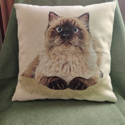 Față de pernă-Pisică Ragdoll
